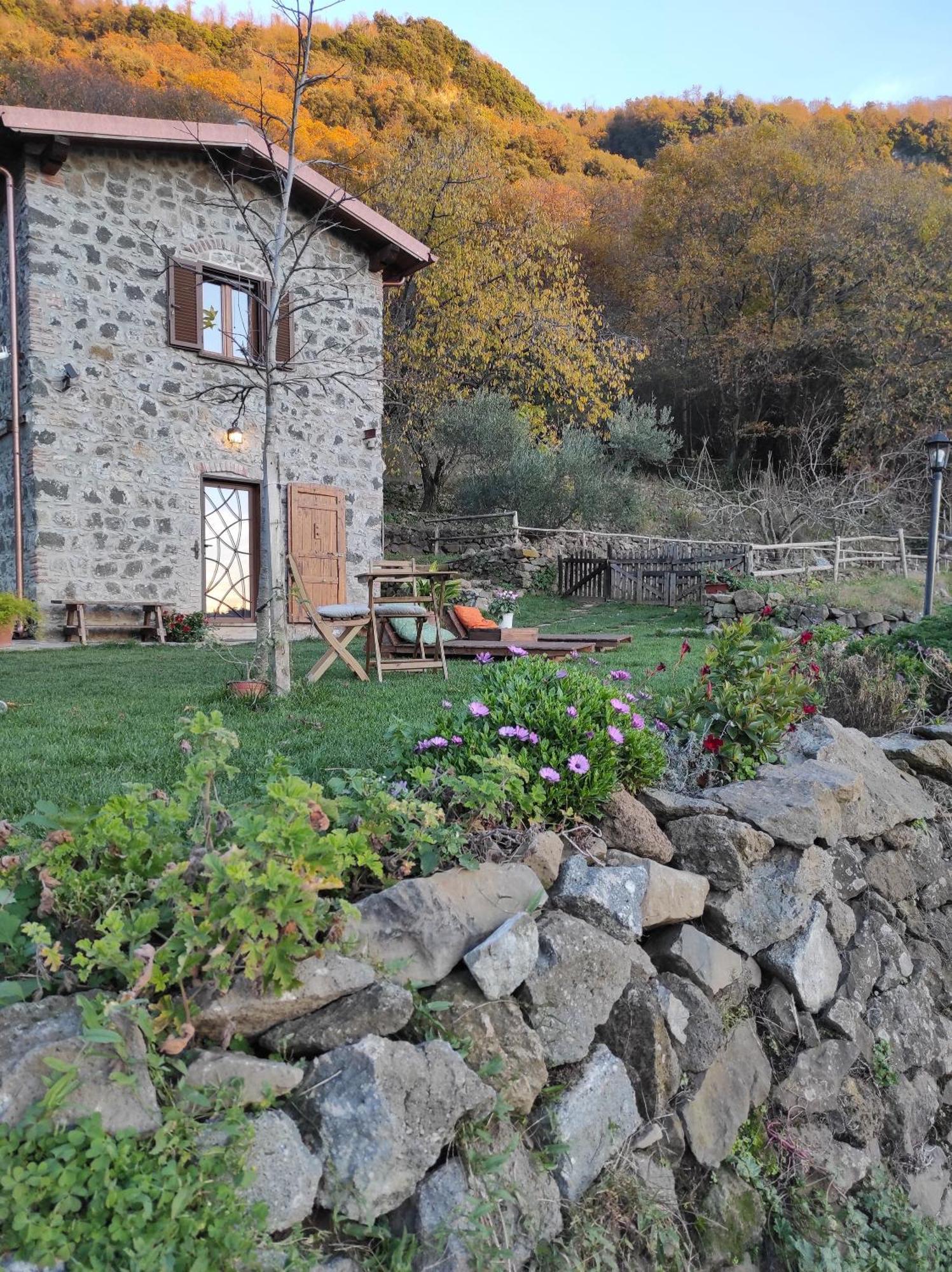 Villa Il Nemus Agriturismo à Nemi Extérieur photo